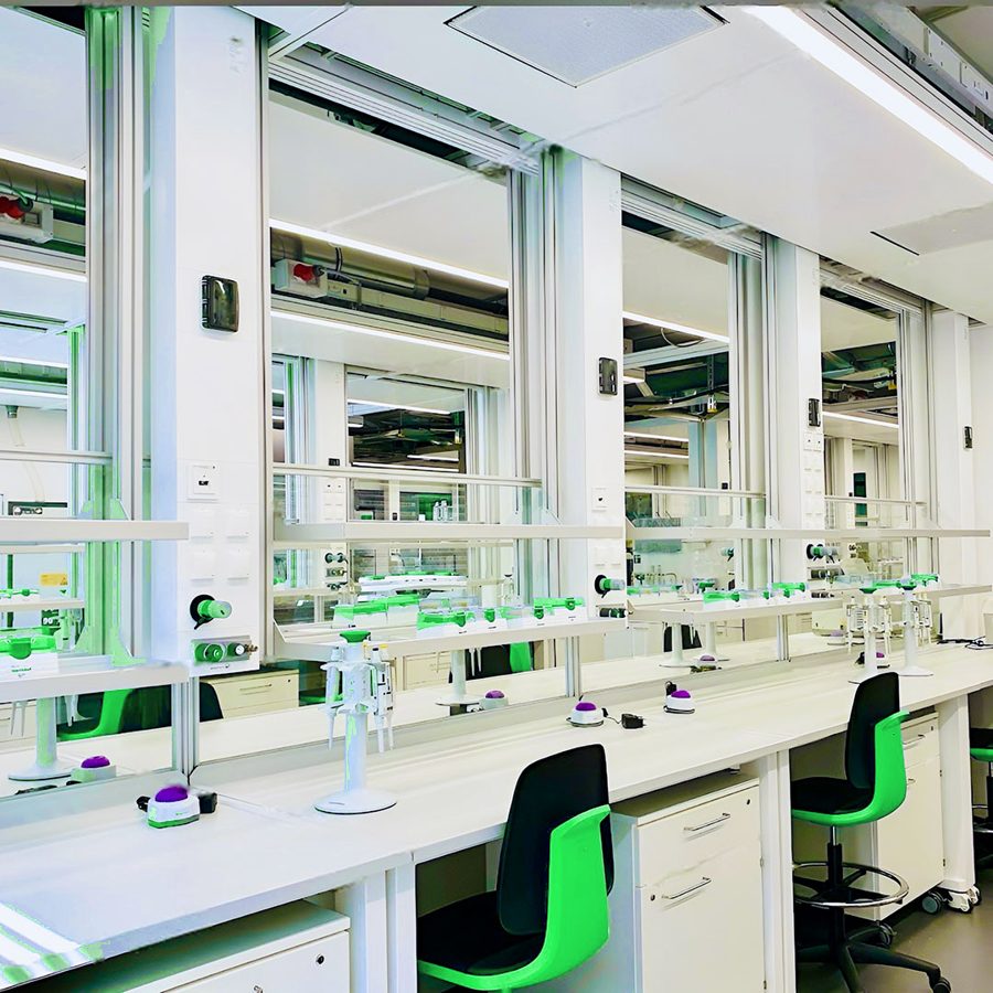 Laboratory at BioLabs Heidelberg