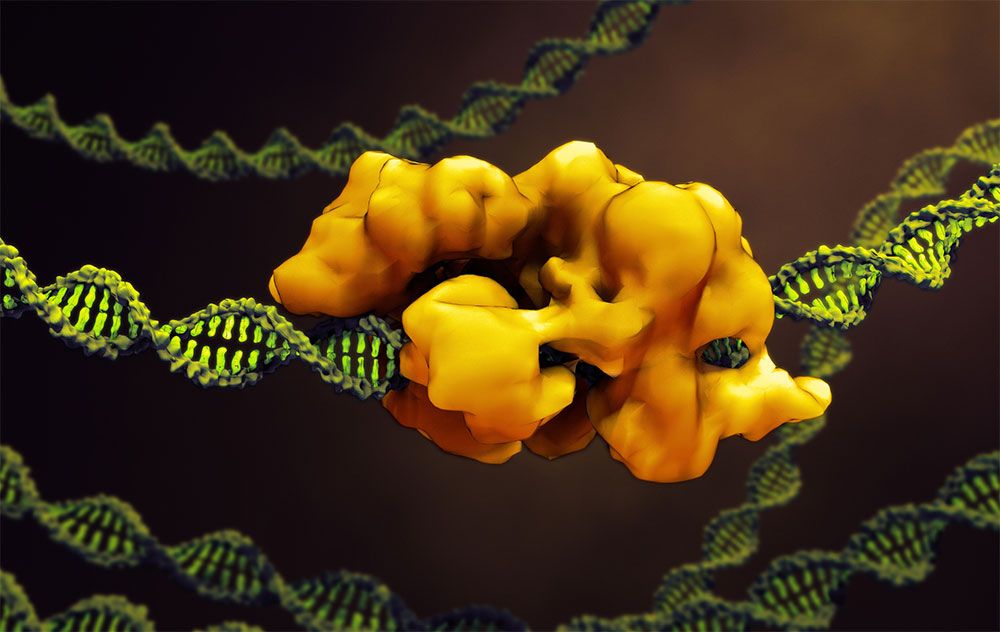 CRISPR-Cas9-Trainingsprogramm