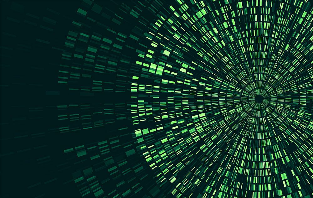 Einführung in die Bioinformatik